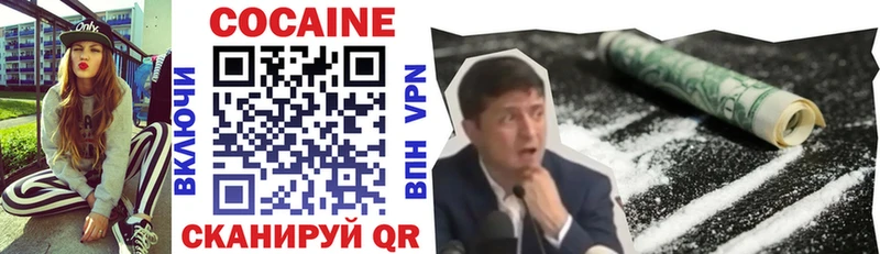 Cocaine Fish Scale  Купить закладки  Выборг 