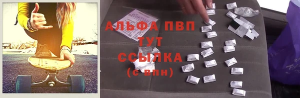 прущие грибы Заволжье