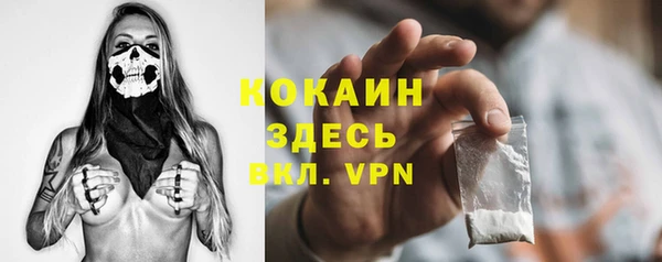 прущие грибы Заволжье