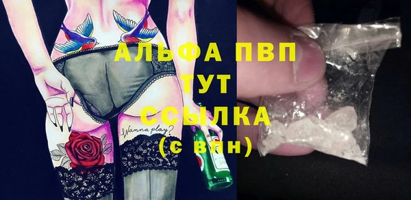прущие грибы Заволжье