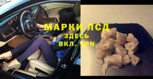 прущие грибы Заволжье