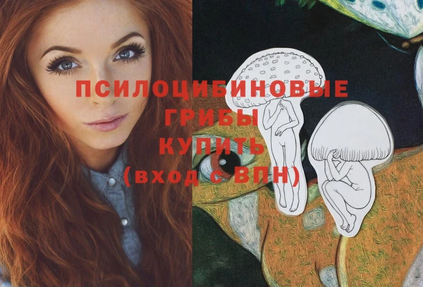прущие грибы Заволжье