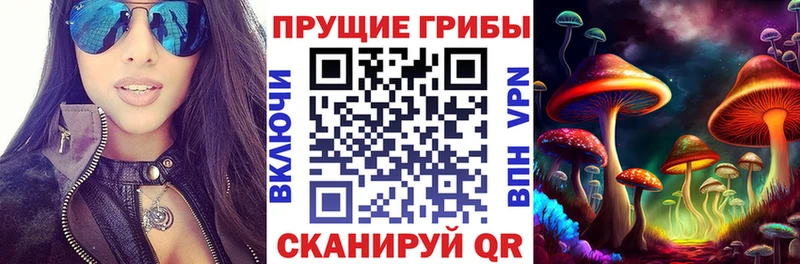 Купить  Выборг  Галлюциногенные грибы Magic Shrooms 